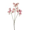 Lot de 24 - Tige artificielle de pois de senteur toucher réel X3, 67 cm - rose ancien crème 