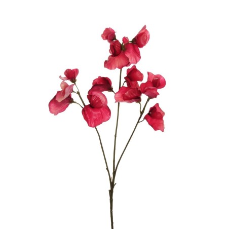 Lot de 24 - Tige artificielle de pois de senteur toucher réel X3, 67 cm - fuchsia foncé 