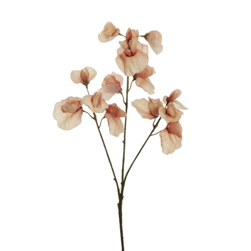 Lot de 24 - Tige artificielle de pois de senteur toucher réel X3, 67 cm - écru 