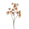 Lot de 24 - Tige artificielle de pois de senteur toucher réel X3, 67 cm - écru 