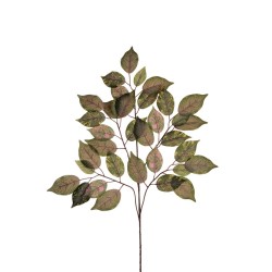 Lot de 48 - Tige artificielle de ficus givré X5, 75 cm - vert gris rose 