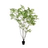 Plante artificielle koelreuteria fougère en pot, 250 cm - vert 