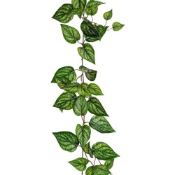 Lot de 6 - Guirlande artificielle de caladium impression 3D toucher réel anti-UV, 150 cm - vert crème 